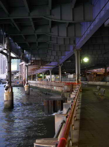 NYC_2012-11-21 06-42-01_P1070332